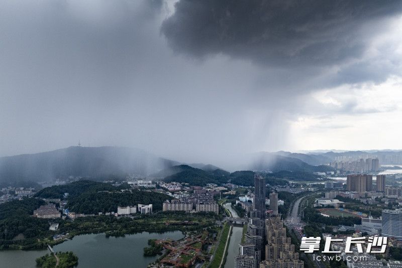 6月28日15时许，岳麓山上降下雷阵雨。 均为长沙晚报全媒体记者郭雨滴摄