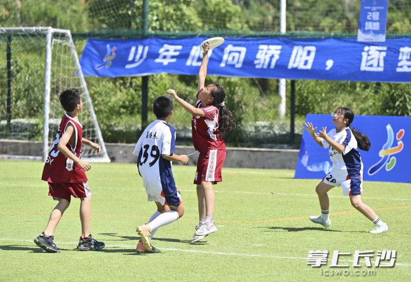 6月28日至29日，长沙市第十一届运动会‌飞盘比赛（少年组）在滨江体育公园足球场举行。均为长沙晚报全媒体记者 余劭劼 摄