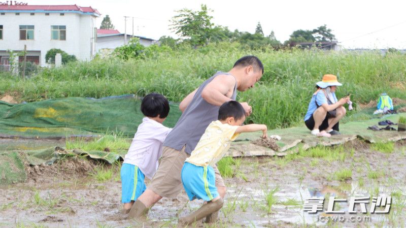 孩子们在泥地里感受野趣。