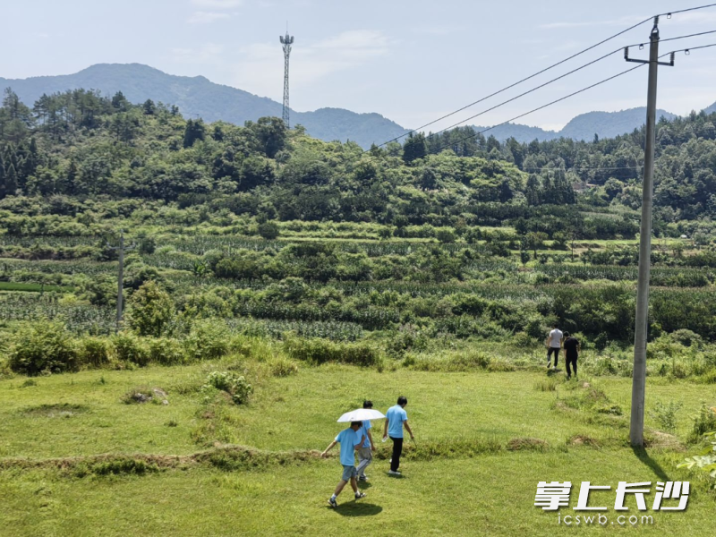 实践团成员前往蔬菜基地选址地探访。