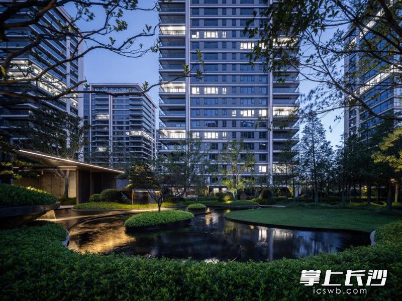 项目交付实景。