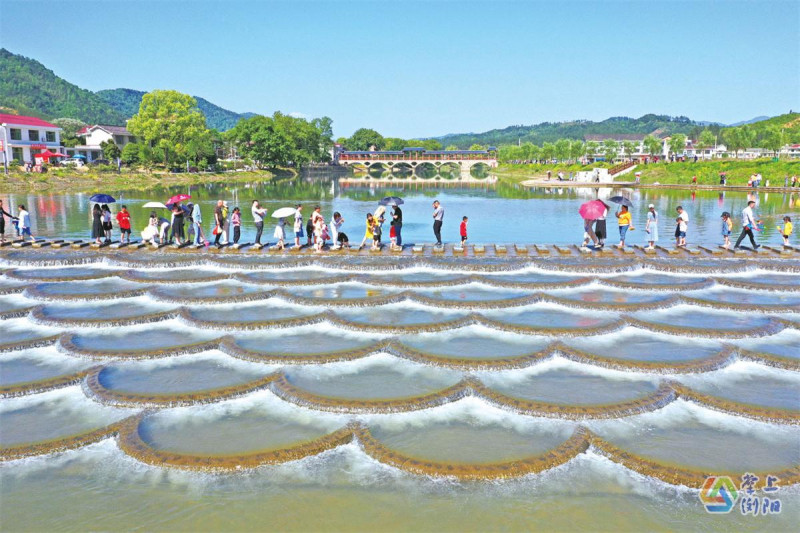 小河乡鱼鳞坝，游客在汀步上游玩拍照。