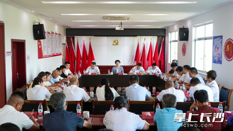 在雨花区跳马镇三仙岭村党群服务中心，吴桂英与村党总支、村委会成员和基层党员开展座谈，并讲授党课。