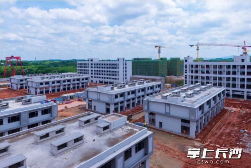 玉湖冷链（长沙）交易中心预计2026年投用，届时将吸引加工、商贸、物流等冷链行业上下游企业在长沙聚集，形成产业集群，进一步推动长沙区域经济发展。 长沙晚报通讯员 刘思源 摄