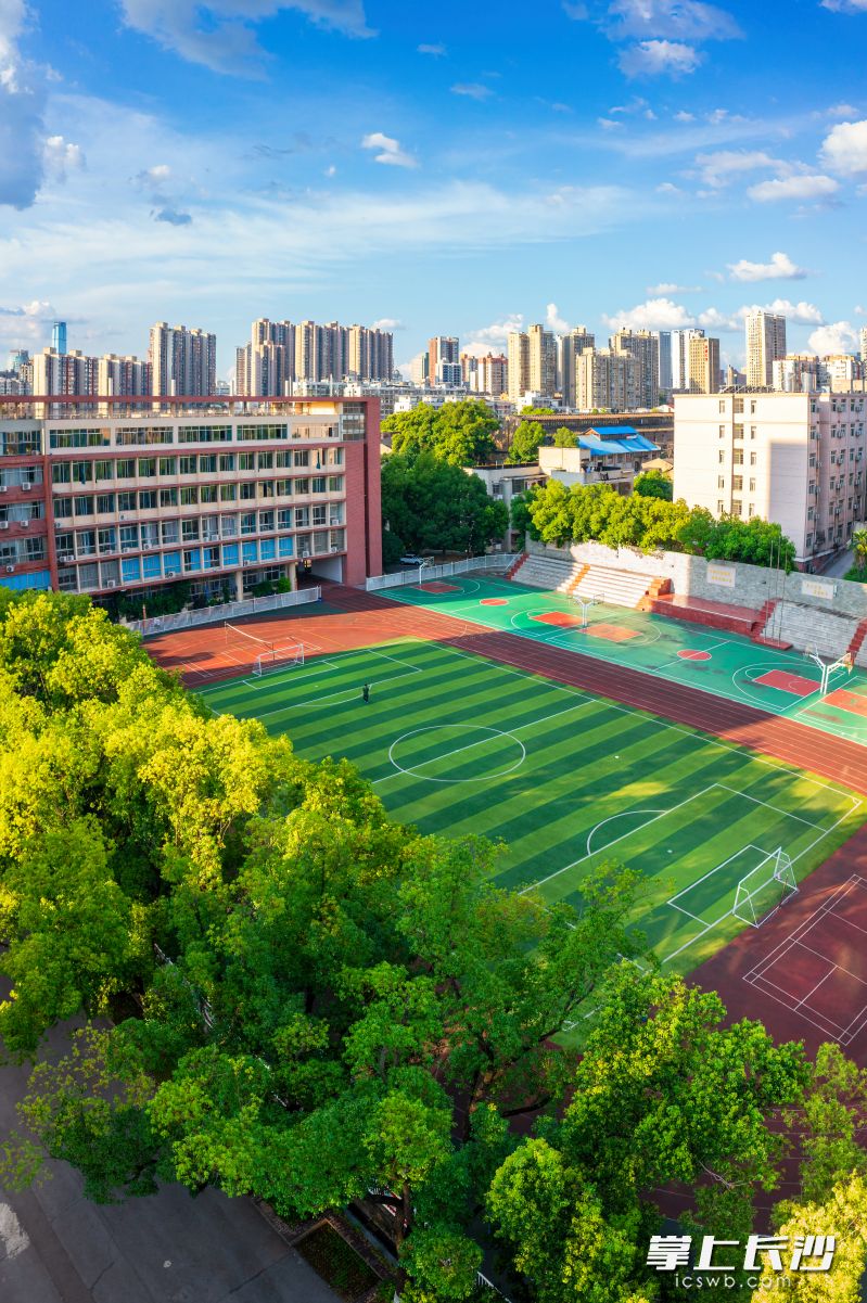 进入暑假，球场变得空空荡荡。