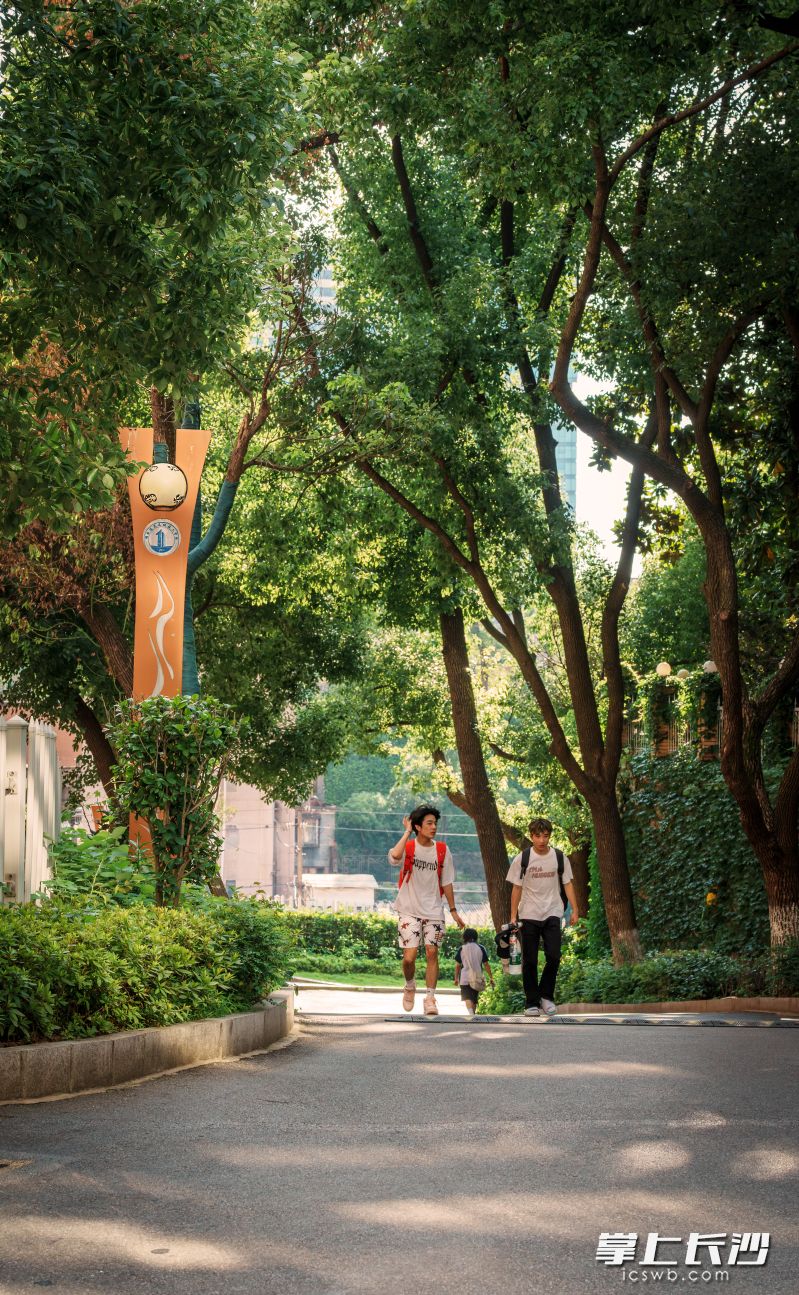 学子们背着大包小包离开校园。