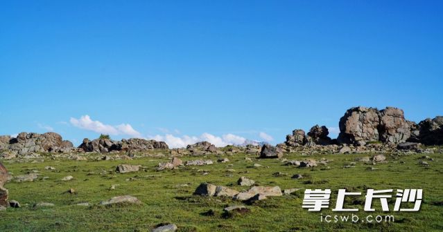 未来一周长沙高温天气发展，阳光将“火力全开”。  长沙晚报全媒体记者 舒元臻 摄