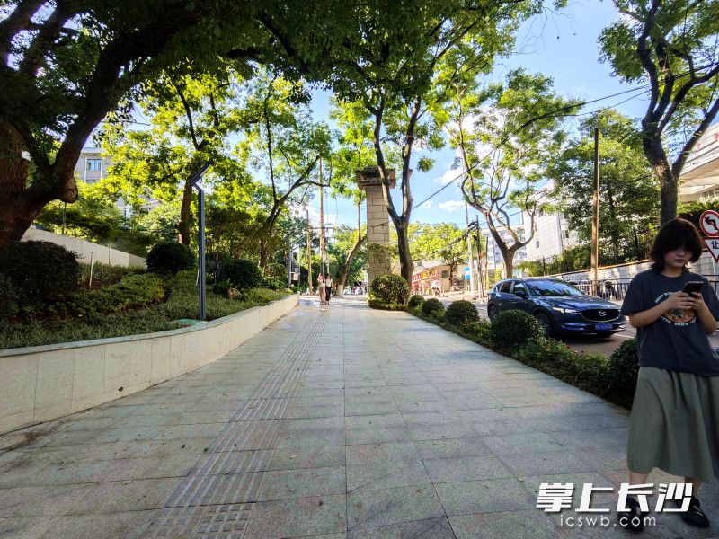 原本狭窄的入园步道变得宽阔平坦。