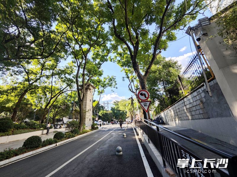 分隔的人行道和车道。