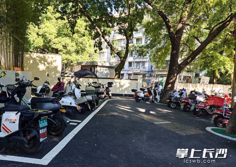 标线清晰的非机动车停放区。