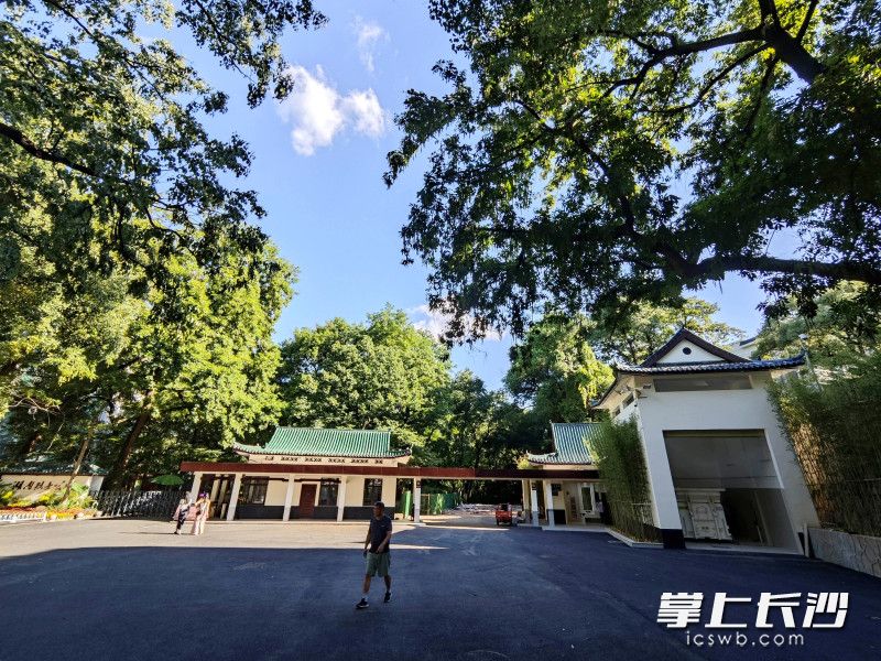 改造后的公园北门区域空间布局得到了优化。