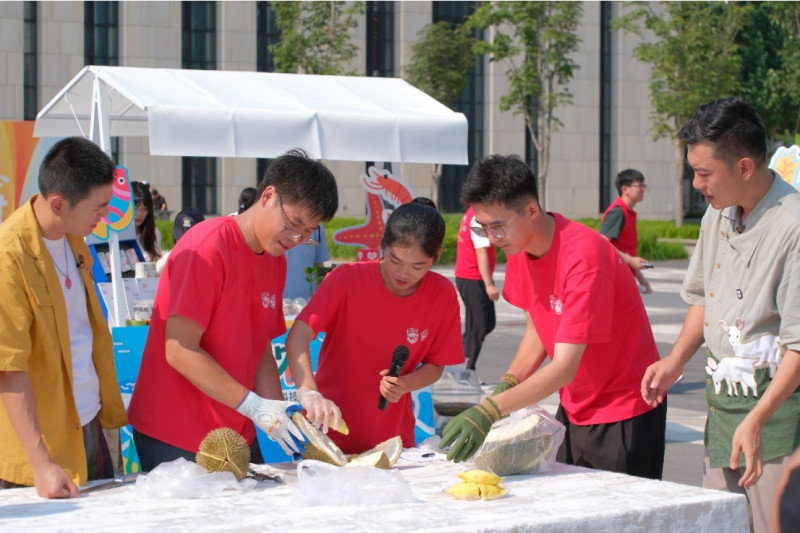 海南三亚优旗榴莲科技小院的同学们正在介绍国产树上自然成熟的榴莲。 通讯员 王心悦 摄