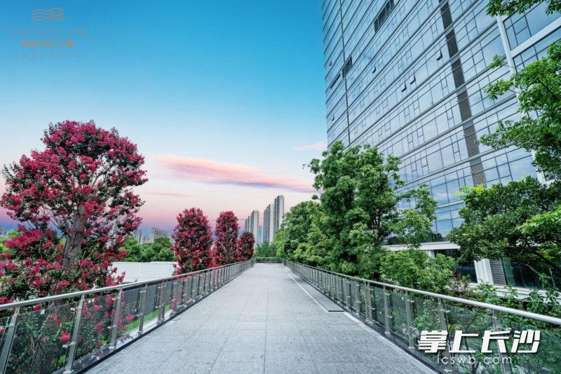 项目景观。
