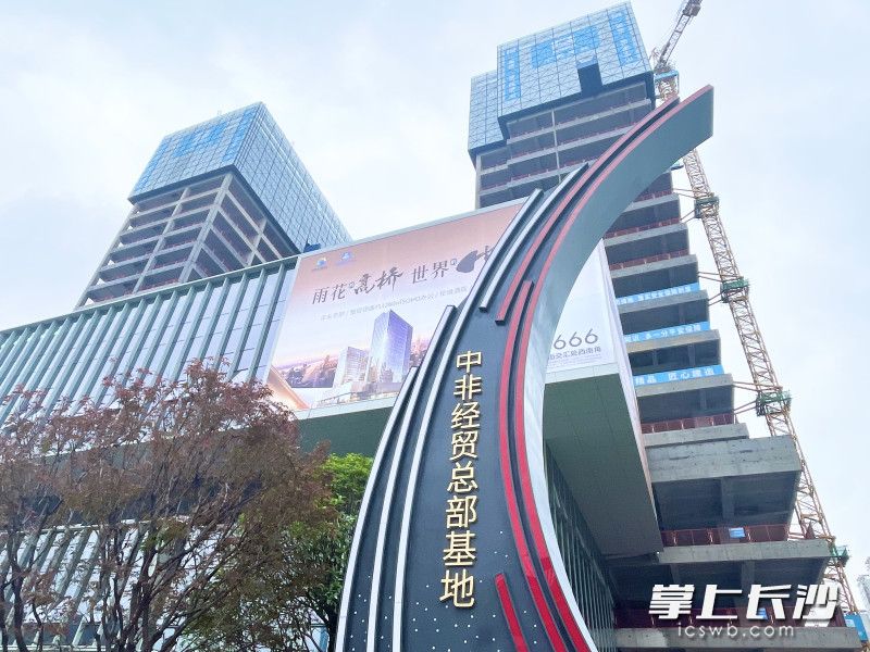 中非经贸总部基地T1、T2两栋塔楼主体结构封顶。 资料图片