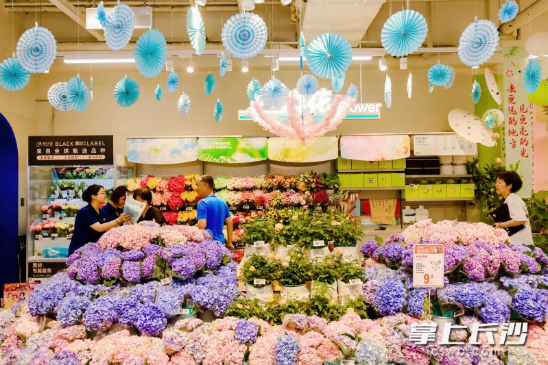 在盒马门店,各色绣球已成花海。长沙晚报通讯员 杨田风 供图 在盒马门店,各色绣球已成花海。长沙晚报通讯员 杨田风 供图