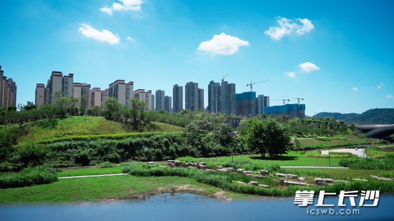 梅溪湖中央公园北段一期内景。