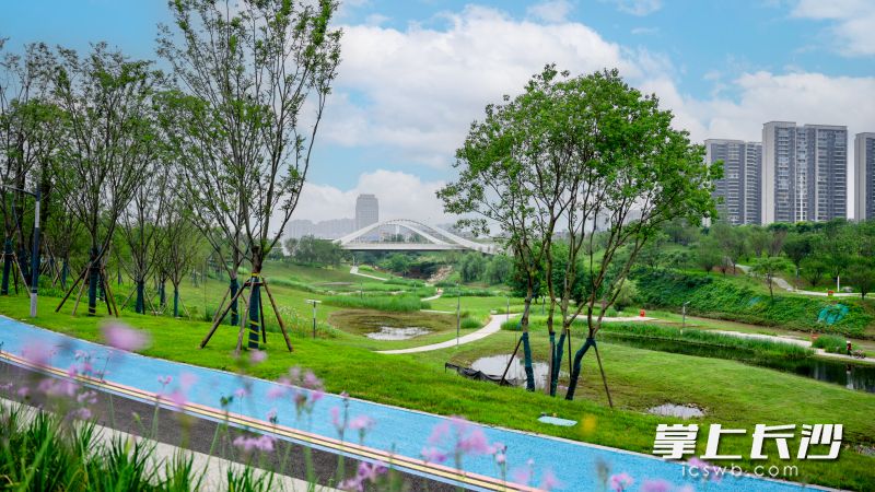 公园精心打造了层次分明的生态景观带。