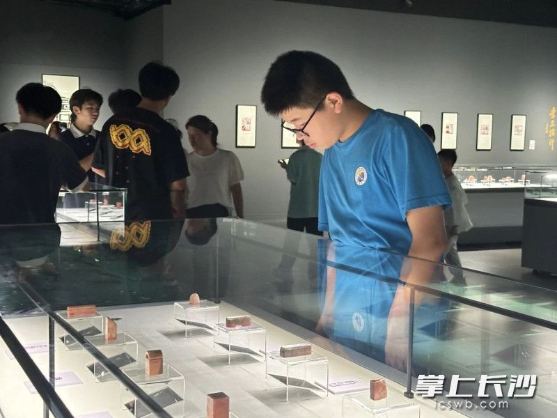 一位男同学在欣赏篆刻作品。 均为长沙美术馆供图