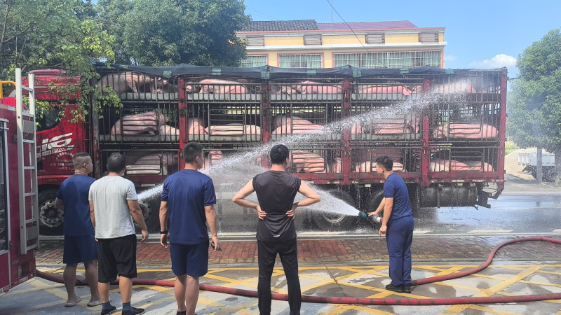 消防员在给生猪降温。 长沙晚报通讯员 胡宇波 摄