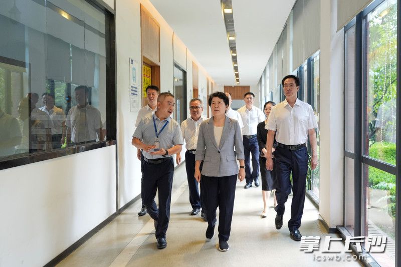 7月7日，省委常委、市委书记吴桂英在宁乡市调研，来到湖南中伟新能源科技有限公司。