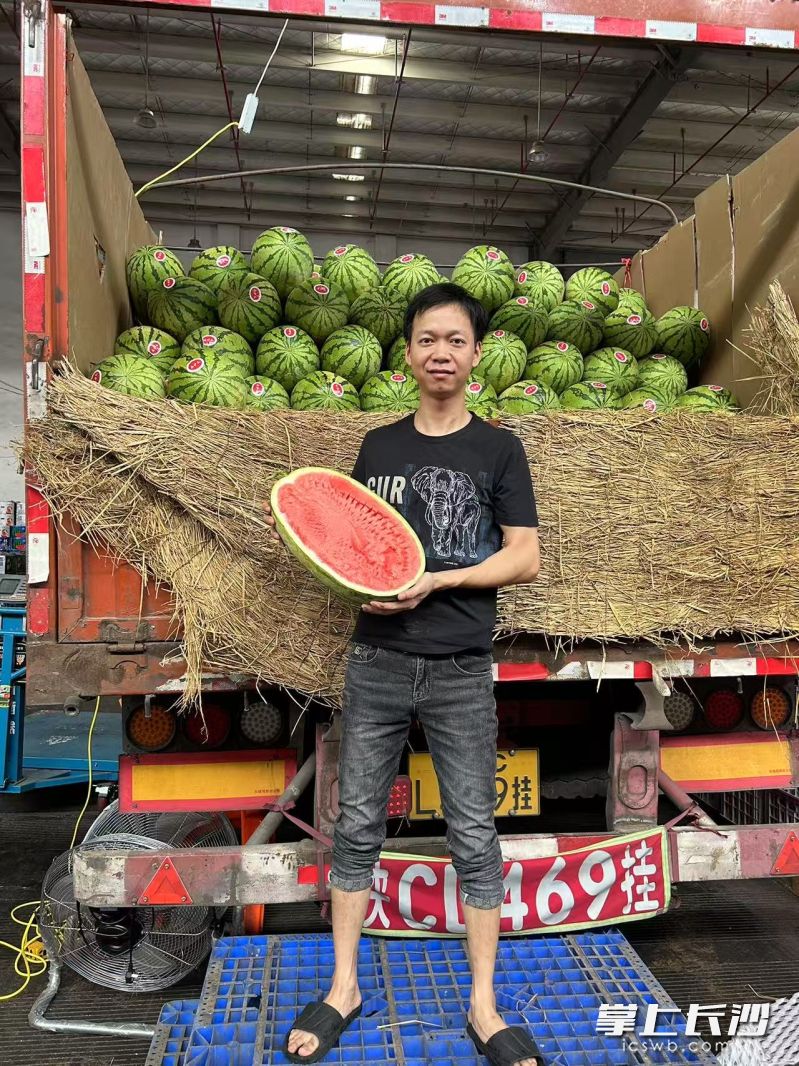 向彪专业卖瓜十五年,从扛瓜小伙成长为明星商户。 长沙晚报实习生 彭傲 摄 向彪专业卖瓜十五年,从扛瓜小伙成长为明星商户。 长沙晚报实习生 彭傲 摄