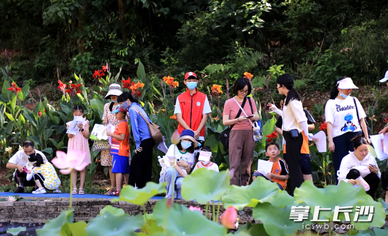 孩子们在植物园老师的带领下认识自然。