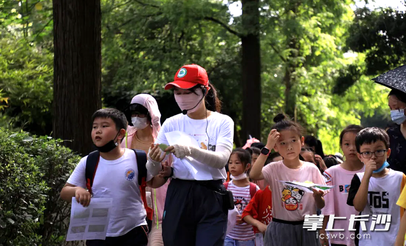 孩子们走进省植物园，棎索自然。