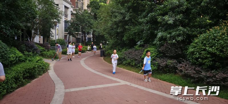 小区少年在晨跑。 均为长沙晚报全媒体记者周小华摄
