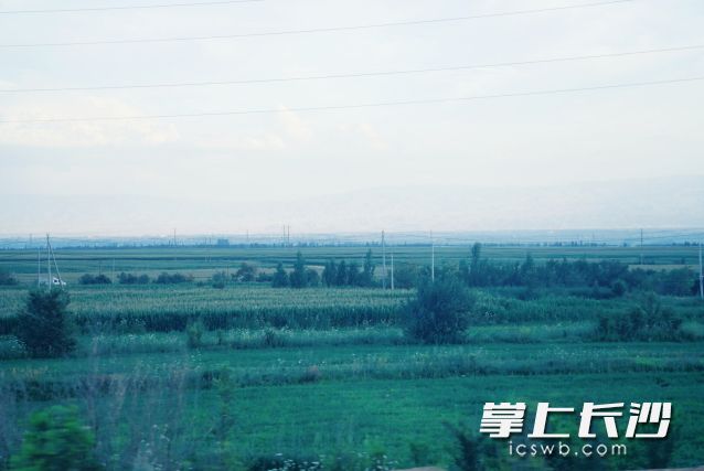 “丹娜丝”登陆后移动路径更加偏南，对长沙的影响减弱。 长沙晚报全媒体记者 舒元臻 摄