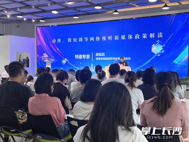 长沙市推进文化和科技融合发展系列政策宣讲动漫专场举行。长沙晚报全媒体记者 刘俊 摄