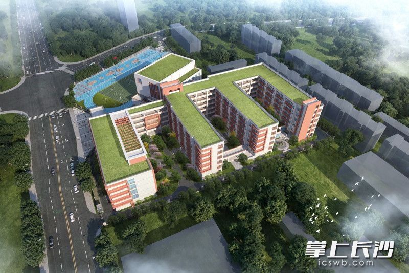 项目效果图。受访人供图。