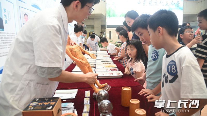 孩子在这里学习中医知识，我们也能收获实用的养生建议。