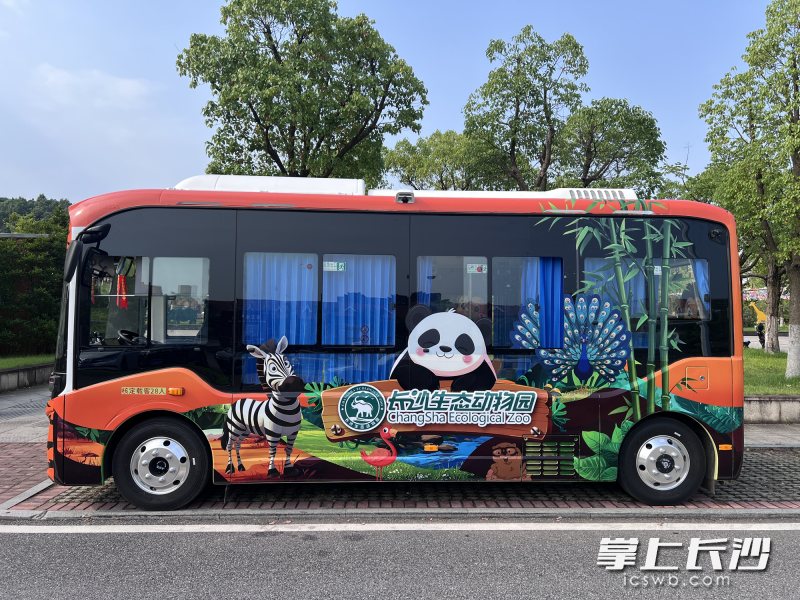 长沙生态动物园微循环定制专线开通，无缝连接尚双塘地铁站1号口与长沙生态动物园，有效实现地铁与景区的“零距离”高效换乘。照片均为通讯员 供图