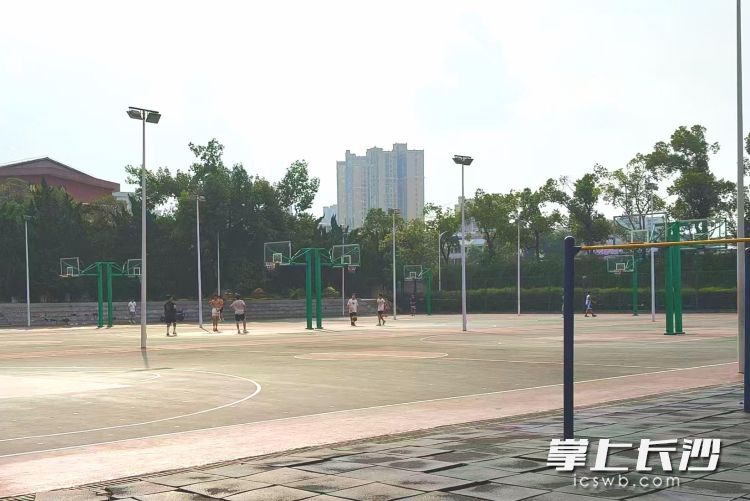 在宁乡市一中紫金中学，夏日的热浪也挡不住孩子们的打球热情。受访方供图