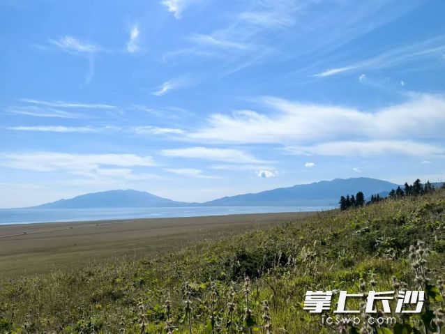 下周开始晴热高温回归，日最高气温再度攀升至38℃左右。 长沙晚报全媒体记者 舒元臻 摄