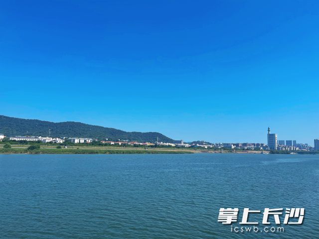 14日8时40分，长沙市气象台发布高温黄色预警信号。 长沙晚报全媒体记者 舒元臻摄