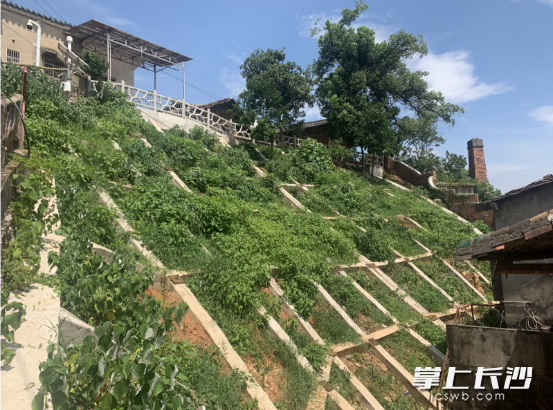 正在治理的七十二梯地质灾害监测点。 长沙晚报全媒体记者 邓艳红 摄