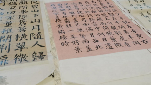 优秀参赛作品。