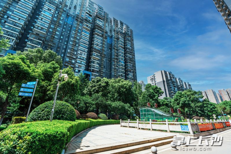 完成40余项基础设施改造，从“脏乱差”一跃成为雨花区物业红榜小区。