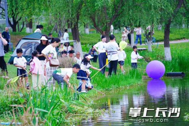 长沙市气象台预计，17日日最高气温将达近期的高峰，升至40℃。 长沙晚报全媒体记者 舒元臻 摄
