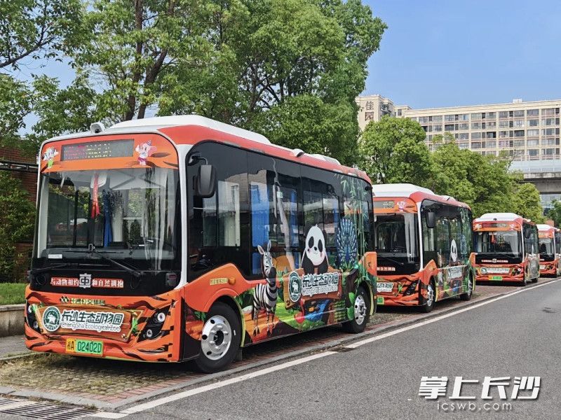 长沙生态动物园萌趣主题巴士7月16日起正式运营。均为园区供图 长沙生态动物园萌趣主题巴士7月16日起正式运营。均为园区供图