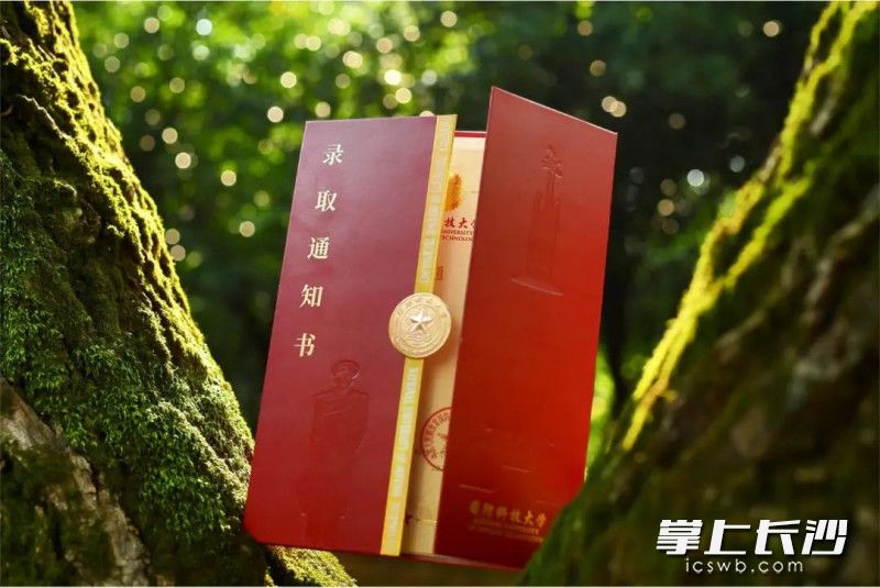录取通知书封套采用中央对开设计，犹如打开一扇荣耀大门。