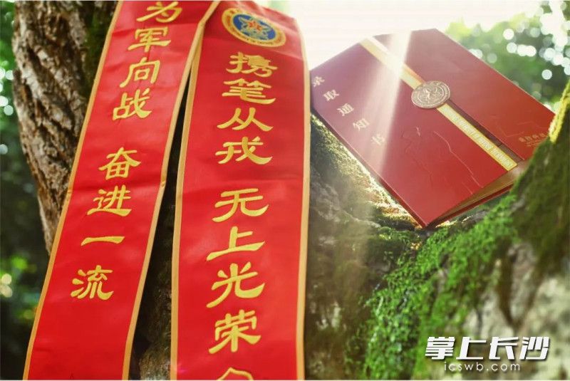 荣耀绶带镌绣“携笔从戎 无上光荣”“为军向战 奋进一流”字样以及新生的专属编号。