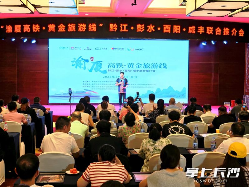 推介会现场。 主办方供图