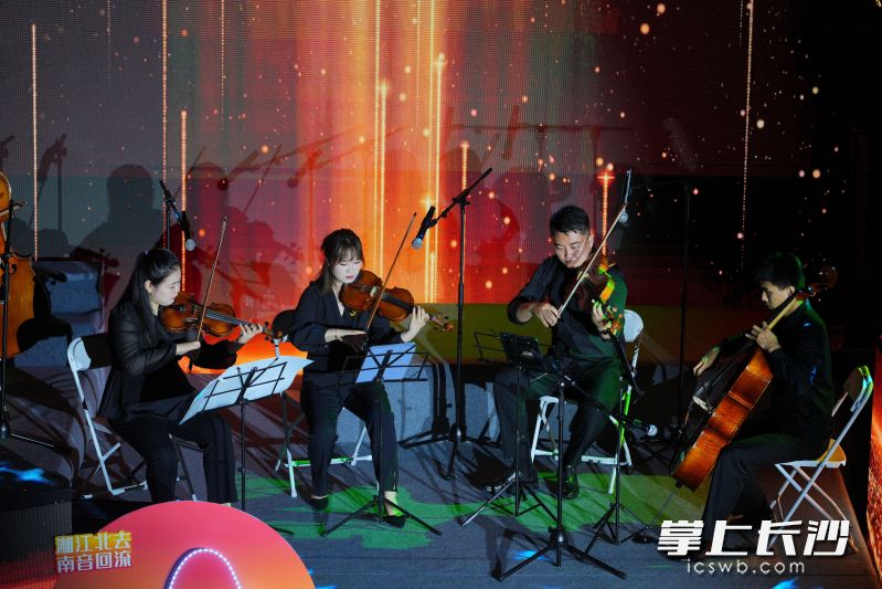 弦乐表演。
