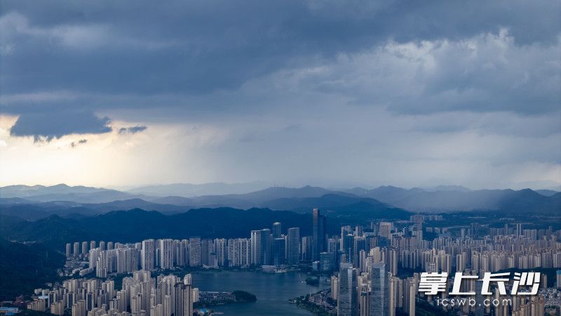 7月20日15时许，市中心、梅溪湖等地突降大雨。 均为长沙晚报全媒体记者郭雨滴摄