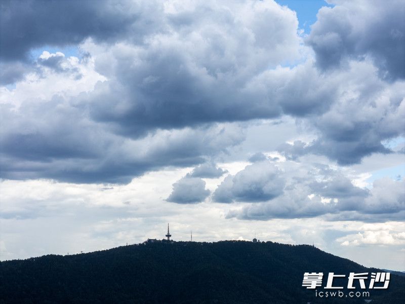 岳麓山上，一朵朵云飘过。
