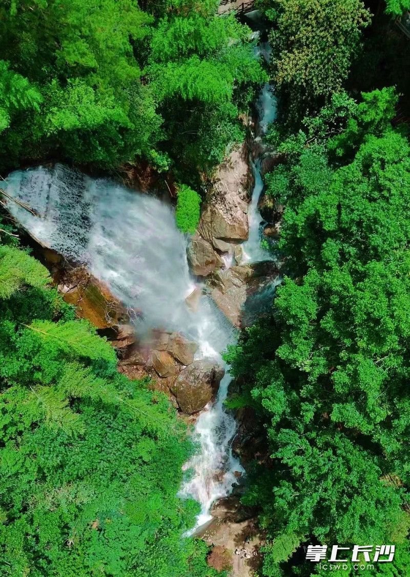 大围山山间局部。 景区供图