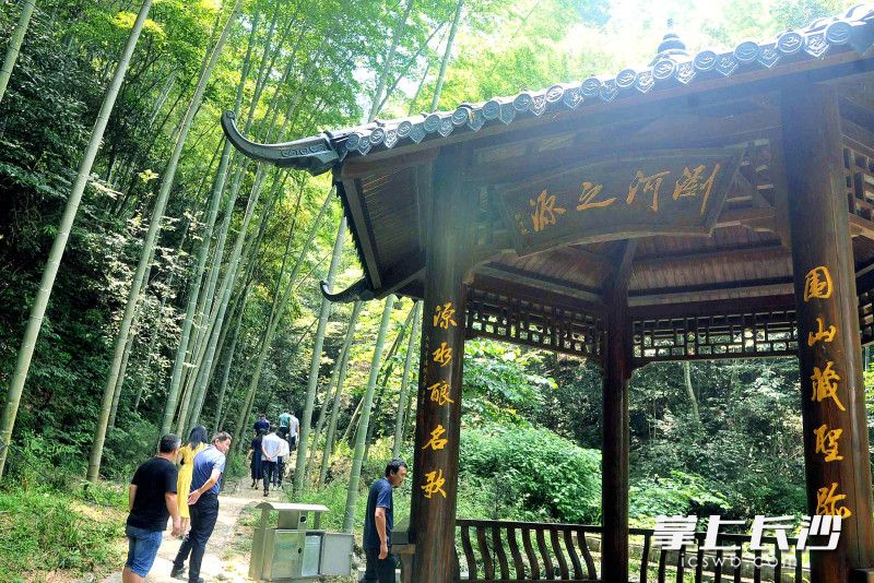 大围山，前来度暑的游客纷至沓来。 长沙晚报全媒体记者 贺文兵 摄