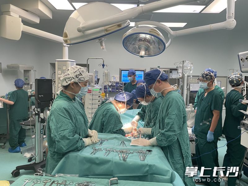 中南大学湘雅医院以心脏大血管外科为主的多学科团队力挽狂澜，上演了一场惊心动魄的生命保卫战。 医院供图